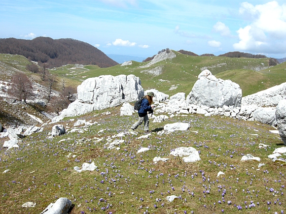 Escursione Parco Nazionale d''Abruzzo